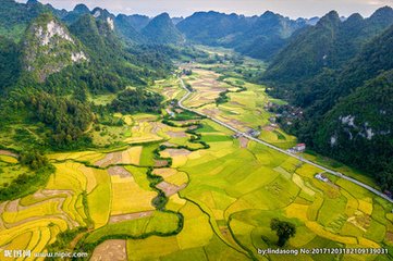 1546922736140934.jpg 2.jpg