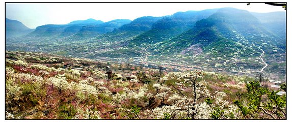 1546927744915776.jpg 2.jpg