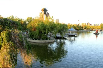 1546950484996563.jpg 2.jpg