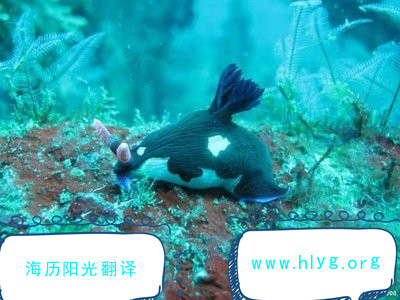 1660783464804882.jpg 導(dǎo)游詞.jpg