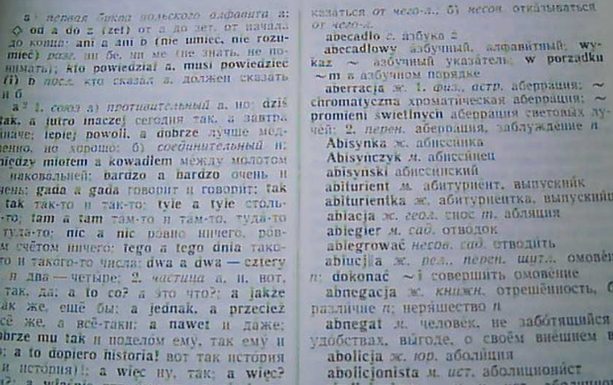 1739755510690743.png 波蘭語(yǔ)翻譯.png