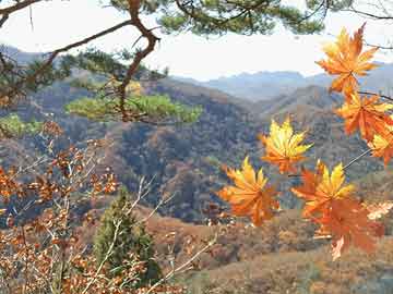 626969正版特马凤凰:《哀牢山生态旅游共识与倡议》在昆发布